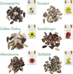 Set Di Semi - 6 Girasoli