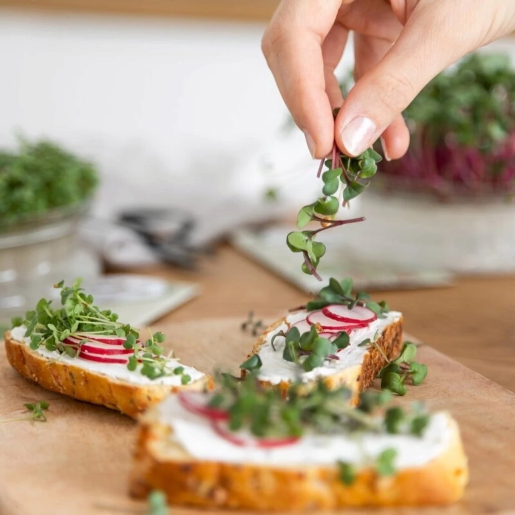 Set Di Semi - 8 Microgreens Bio 6 Set Di Semi - 8 Microgreens Bio - immagine 4