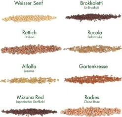 Set Di Semi - 8 Microgreens Bio 12 Set Di Semi - 8 Microgreens Bio -Giardino Perfetto own grown set di semi 8 microgreens bio 1679543 it