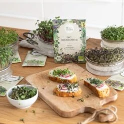Set Di Semi - 8 Microgreens Bio 9 Set Di Semi - 8 Microgreens Bio -Giardino Perfetto own grown set di semi 8 microgreens bio 1679545 it