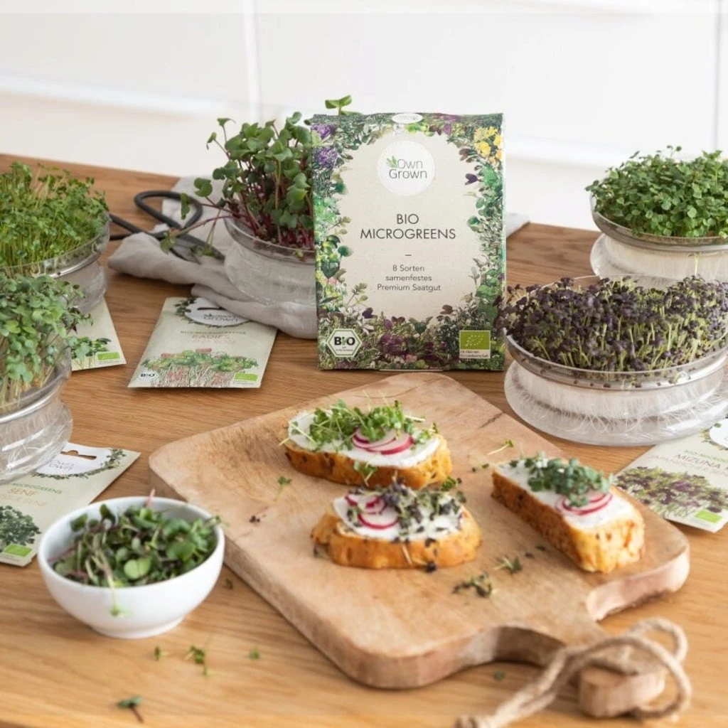 Set Di Semi - 8 Microgreens Bio 4 Set Di Semi - 8 Microgreens Bio - immagine 2