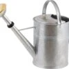 Annaffiatoio 9 L - Zinco 2 Annaffiatoio 9 L - Zinco -Giardino Perfetto plint annaffiatoio 9 l zinco 1 st 1671395 it