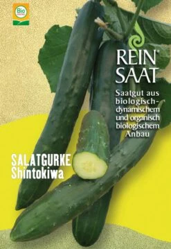 Cetriolo - Shintokiwa