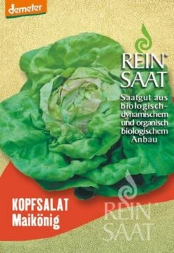 Giardino Perfetto -Giardino Perfetto reinsaat lattuga regina di maggio 1676984 it