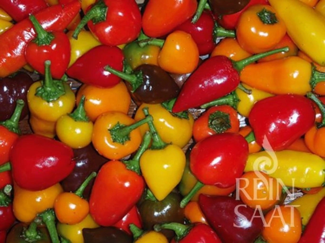 Mix Piccante 3 Mix Piccante