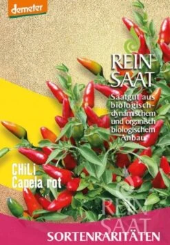 Peperoncino "Capela"