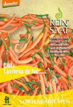 Peperoncino "Lanterna De Foc"