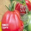 Pomodoro - Liguria 1 Pomodoro - Liguria -Giardino Perfetto reinsaat pomodoro liguria 1 paket 1677081 it