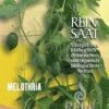 Varietà Rara Di Melothria Trilobata -Giardino Perfetto reinsaat varieta rara di melothria trilobata 1 paket 1665497 it