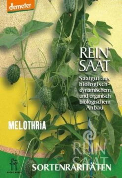 Varietà Rara Di Melothria Trilobata