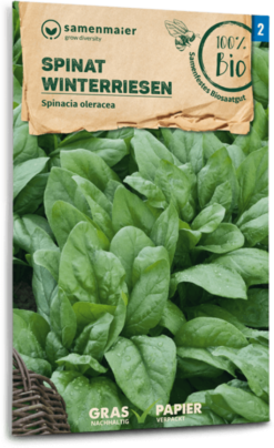 Giardino Perfetto -Giardino Perfetto samen maier spinacio bio gigante dinverno 1670758 it