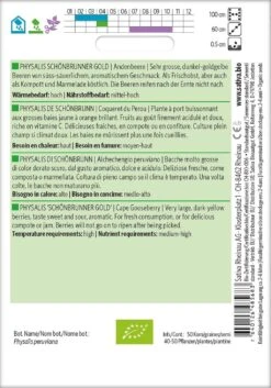 Giardino Perfetto -Giardino Perfetto sativa alchechengio peruviano bio physalis di schoenbrunn 1 paket 1672138 it