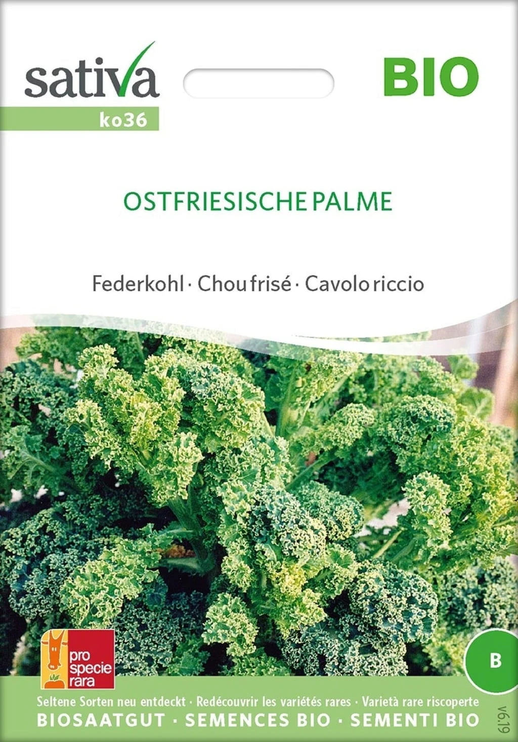 Cavolo Riccio Bio - Ostfriesische Palme 4 Cavolo Riccio Bio - Ostfriesische Palme - immagine 2