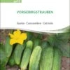 Cetriolo Bio - Vorgebirgstrauben -Giardino Perfetto sativa cetriolo bio vorgebirgstrauben 1 paket 1672061 it