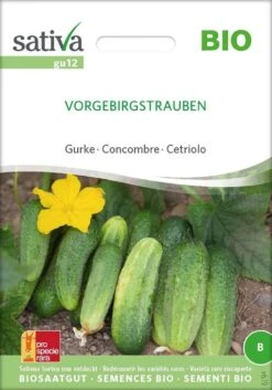 Cetriolo Bio - Vorgebirgstrauben