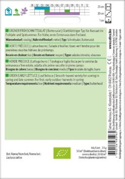 Lattuga Burro Bio - Verde Precoce