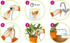 Set Di Blumat Per Piante D'Appartamento, 3 Pz. 13 Set Di Blumat Per Piante D'Appartamento, 3 Pz. -Giardino Perfetto set di 3 blumat classic per piante dappartamento 3 st 1501976 it