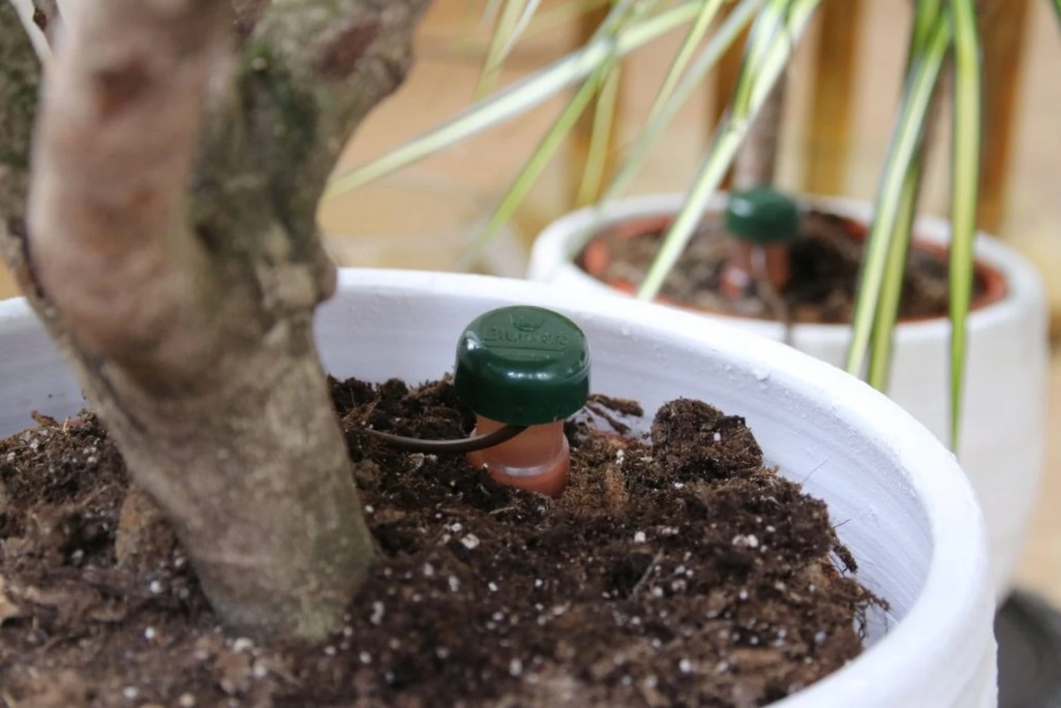 Set Di Blumat Per Piante D'Appartamento, 3 Pz. 4 Set Di Blumat Per Piante D'Appartamento, 3 Pz. - immagine 2