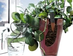 Windhager Irrigatore Automatico, 1 Pezzo -Giardino Perfetto windhager irrigatore automatico 764047 it