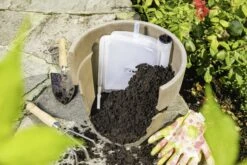 Windhager Irrigatore Automatico - Plantpal, 0,3 L