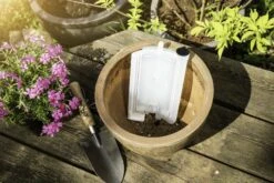 Windhager Irrigatore Automatico - Plantpal, 0,3 L 12 Windhager Irrigatore Automatico - Plantpal, 0,3 L -Giardino Perfetto windhager irrigatore automatico plantpal 763927 it