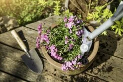 Windhager Irrigatore Automatico - Plantpal, 0,3 L 14 Windhager Irrigatore Automatico - Plantpal, 0,3 L -Giardino Perfetto windhager irrigatore automatico plantpal 763947 it